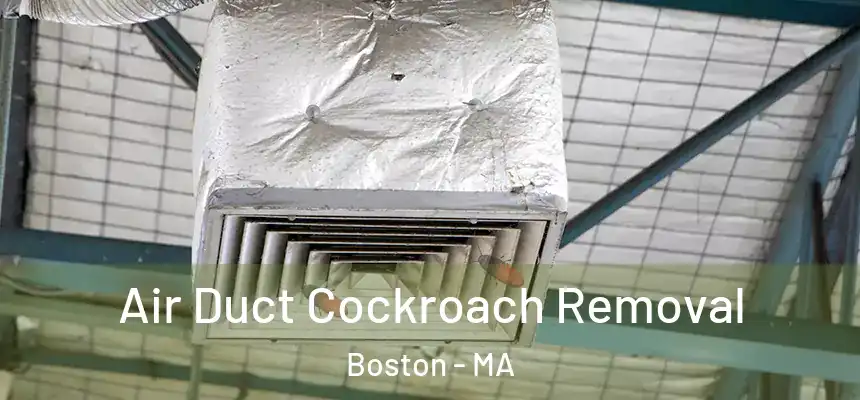 Air Duct Cockroach Removal Boston - MA