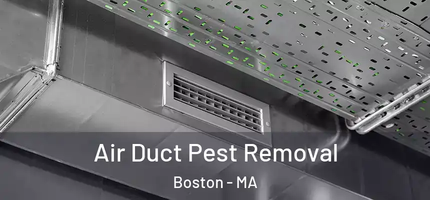Air Duct Pest Removal Boston - MA