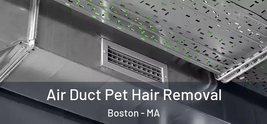 Air Duct Pet Hair Removal Boston - MA