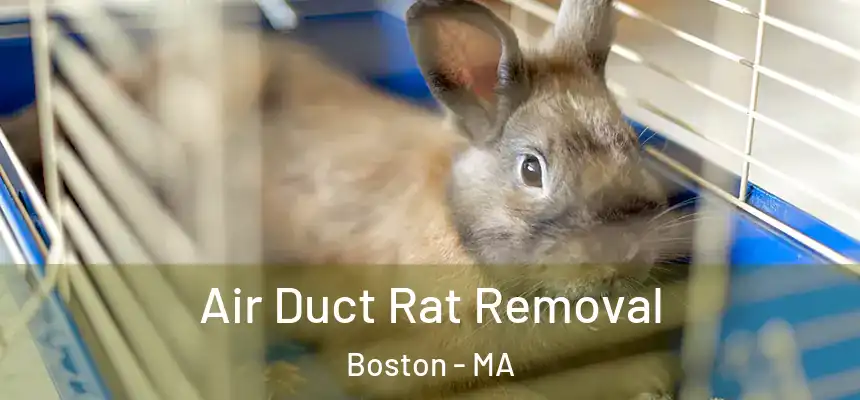 Air Duct Rat Removal Boston - MA