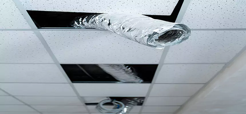 Affordable HVAC Sanitizing After Pest Removal in Boston