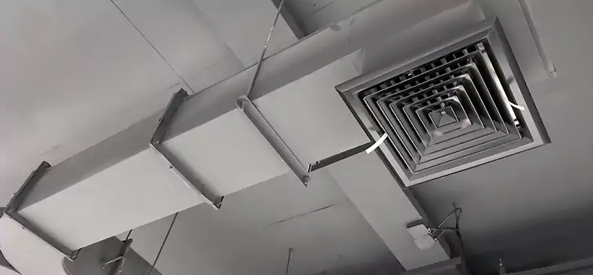 Restorative Allergy Relief Vent Cleaning – Coil, Blower & Housing Detail in Boston