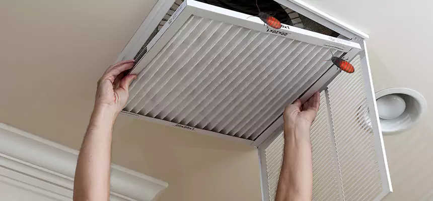 Our Insect Removal from Air Ducts Services in Boston, MA
