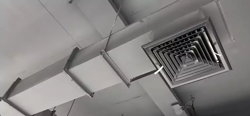 Our Rodent Droppings In Vents Services in Boston, MA