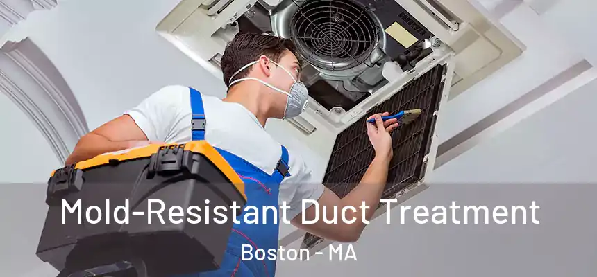 Mold-Resistant Duct Treatment Boston - MA