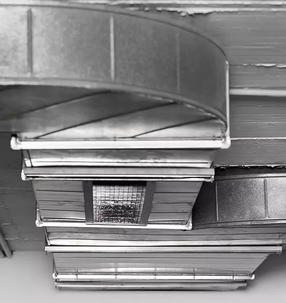 Professional Air Duct Pest Removal in Boston, MA