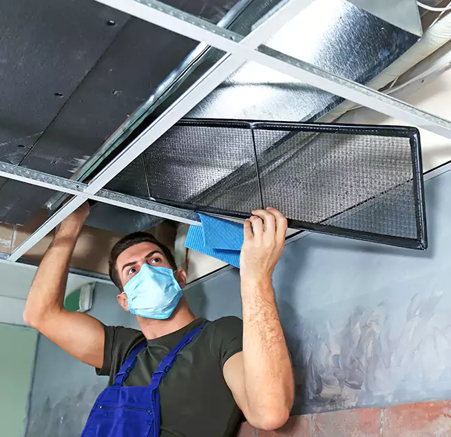 Why Homeowners Businesses Trust Us in Boston, MA