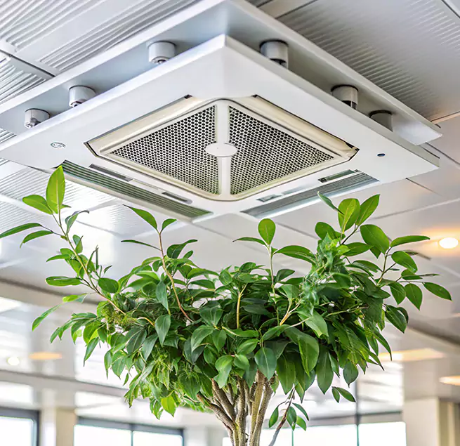 Why Homeowners & Businesses Trust Us in Boston, MA