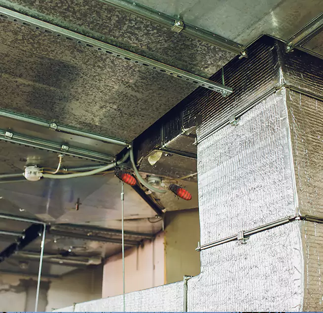 Why Homeowners & Businesses Trust Us Boston, MA?