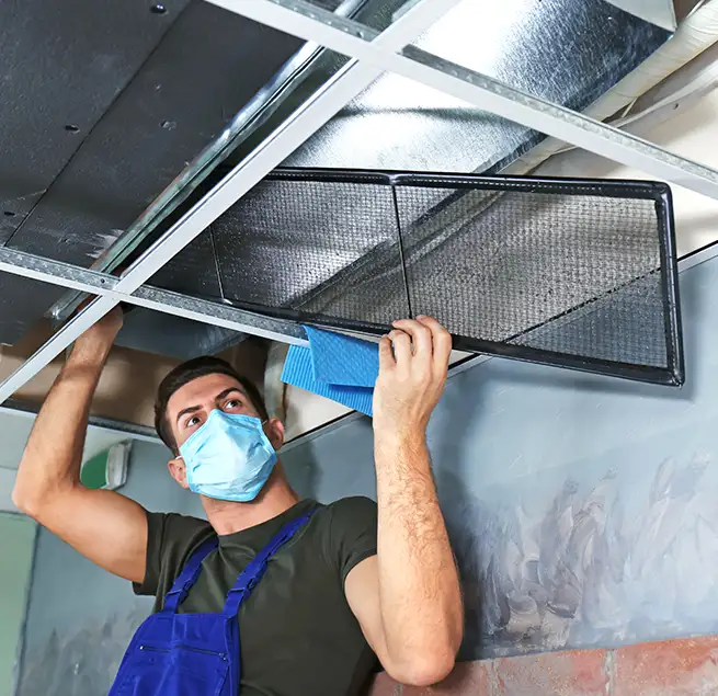 Why Homeowners & Businesses Trust Us in Boston, MA?