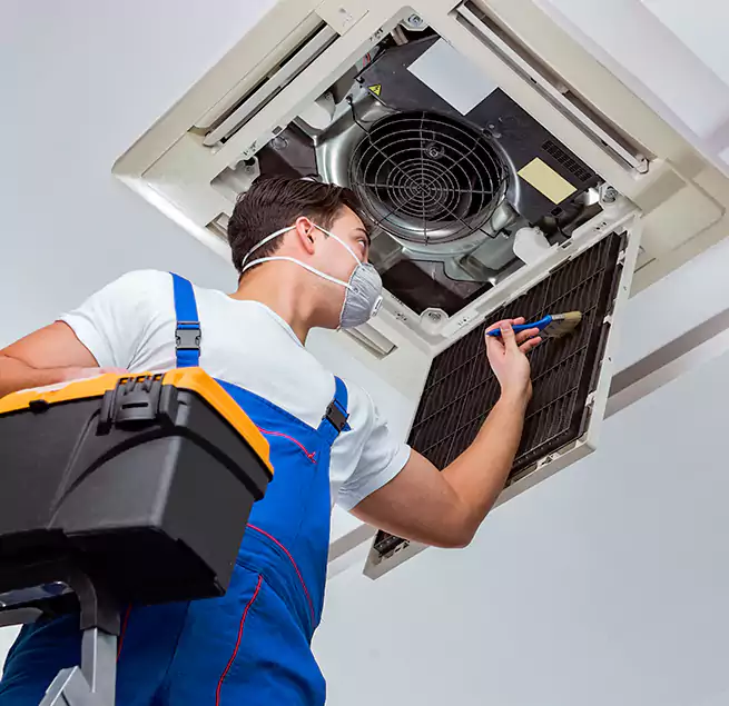 Why Homeowners & Businesses Trust Us in Boston, MA?